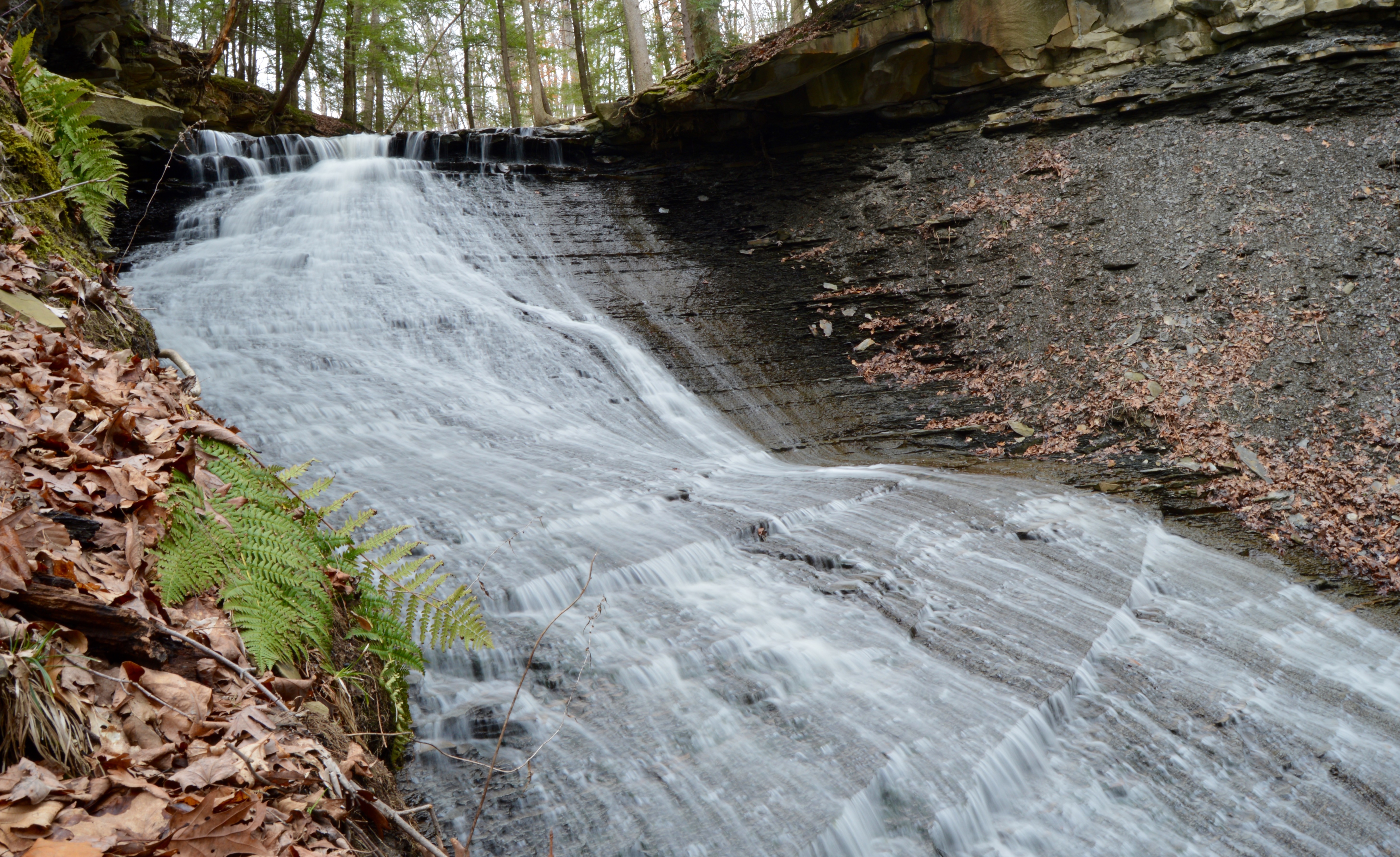 Greenwood Falls