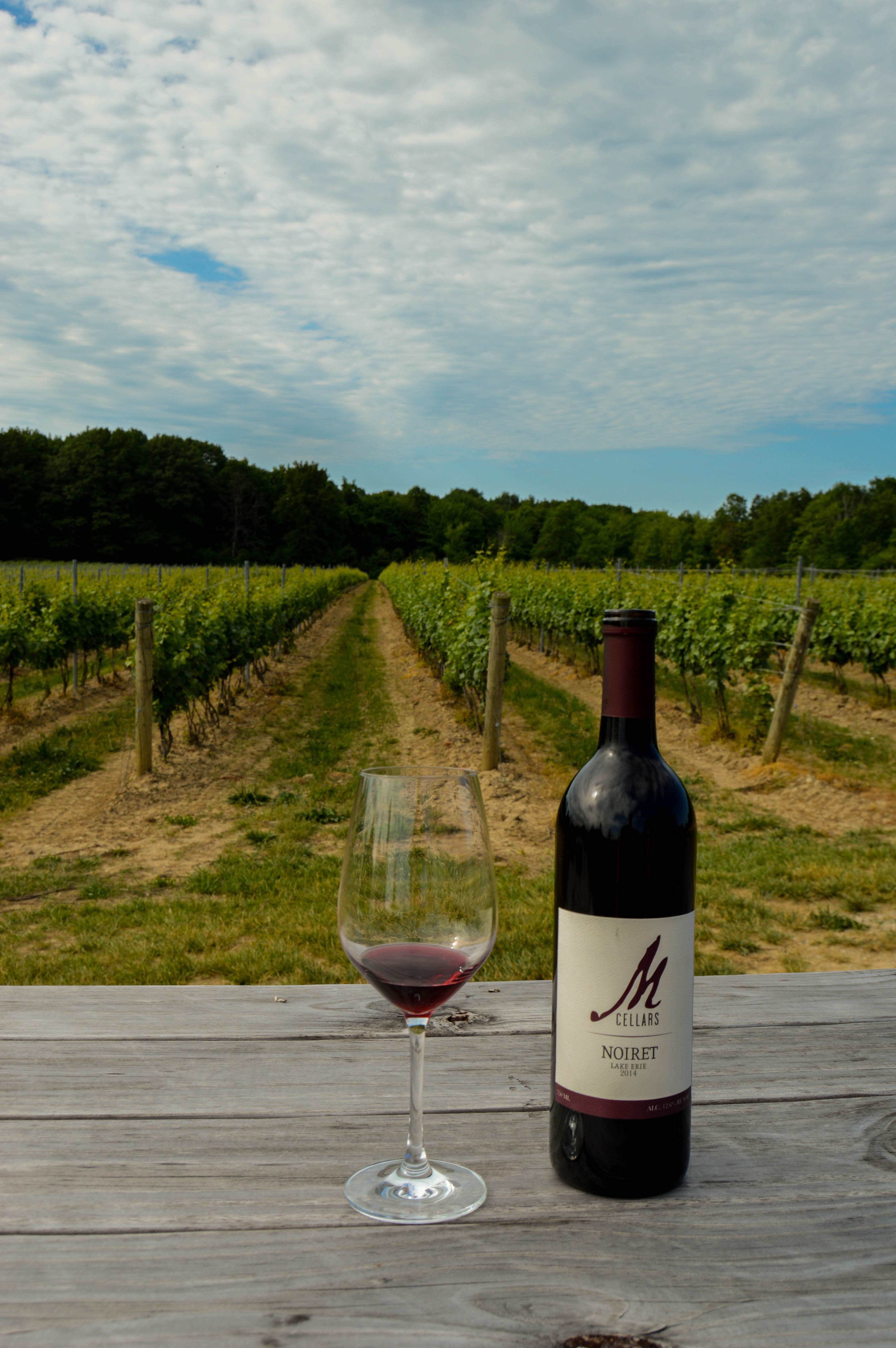 M Cellars1