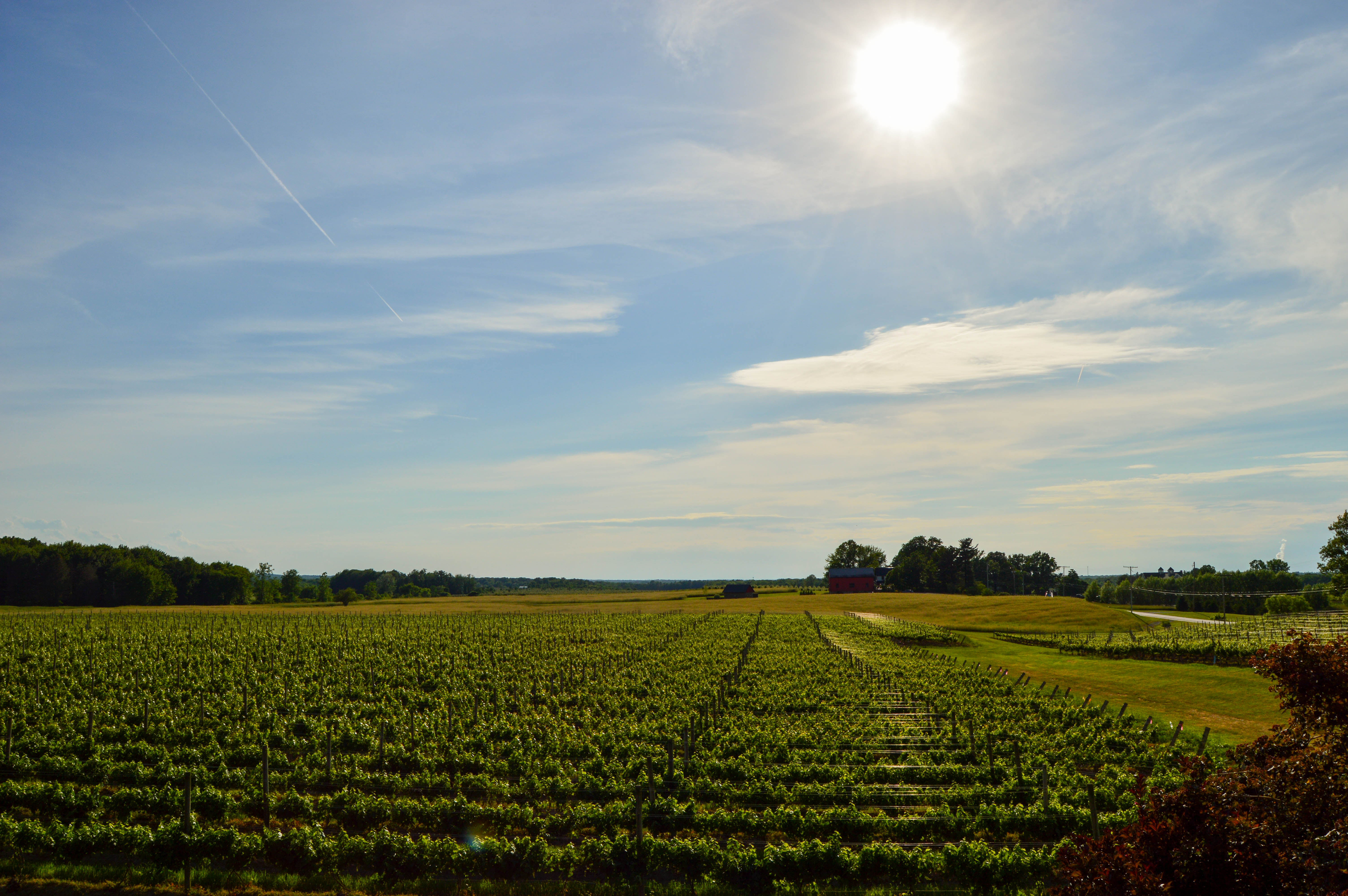 South River Winery2