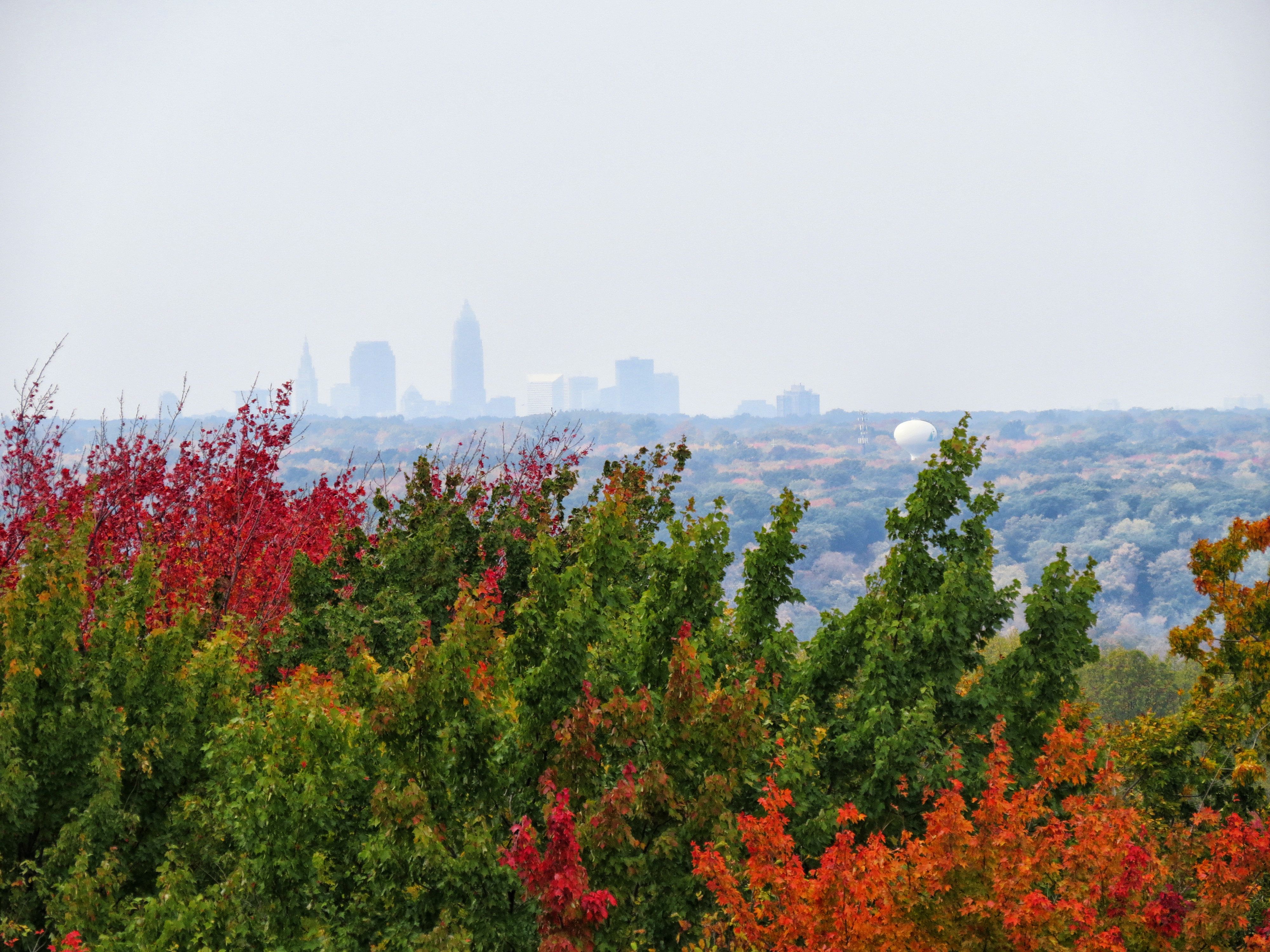 chapin forest best fall hikes near cleveland