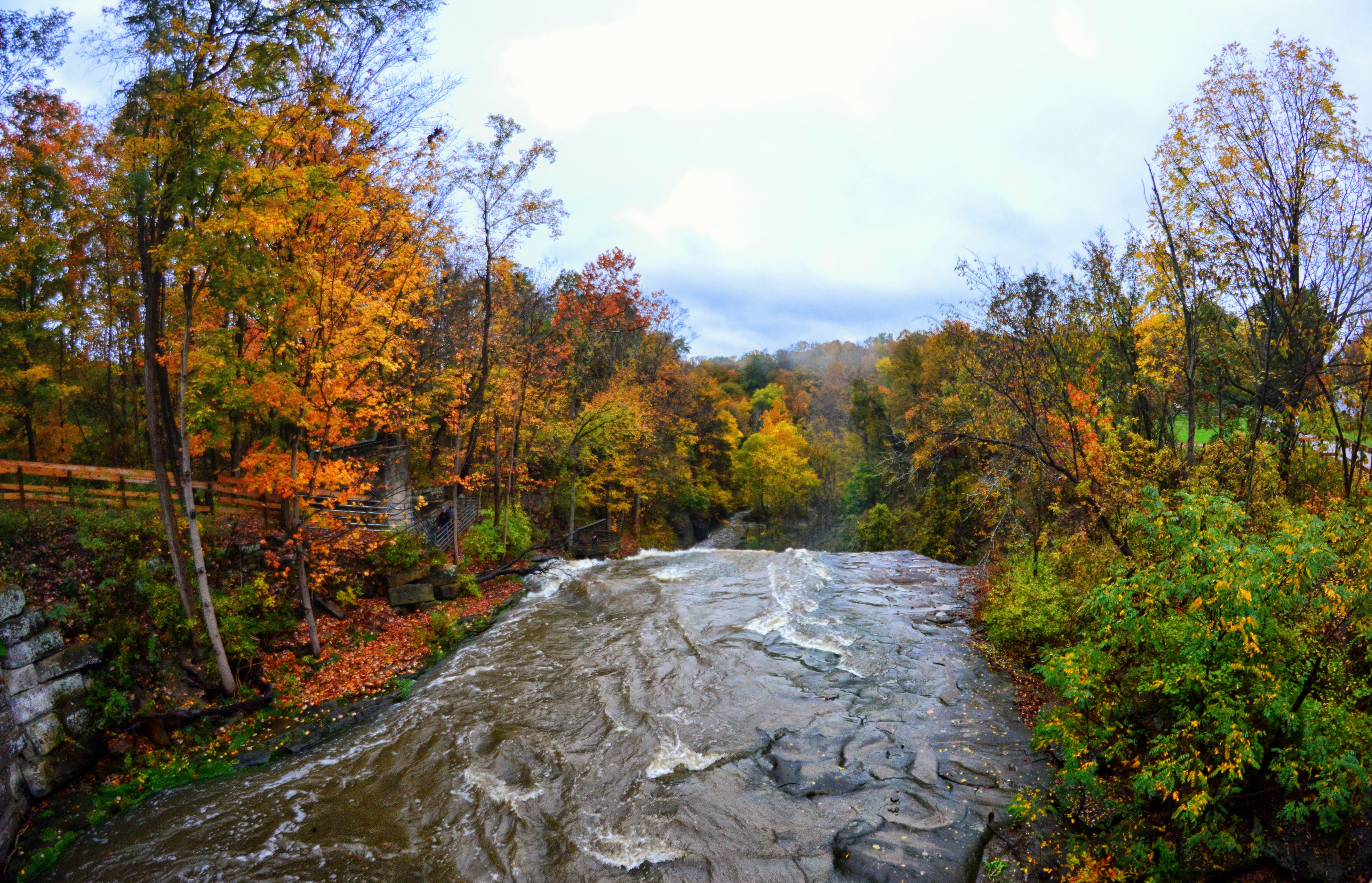 Brandywine falls best fall hikes near cleveland