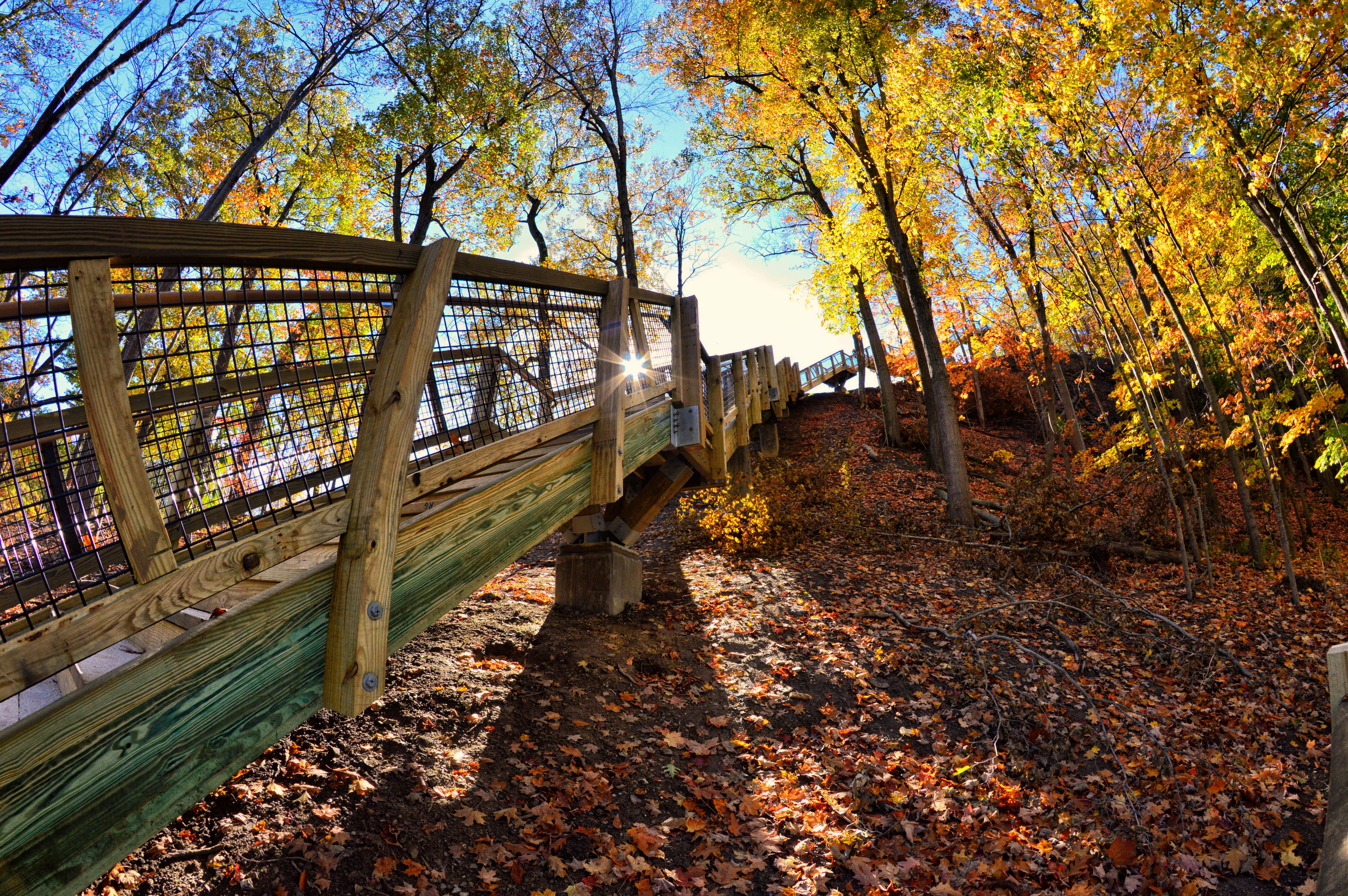 Rocky River reservation best fall hikes near cleveland