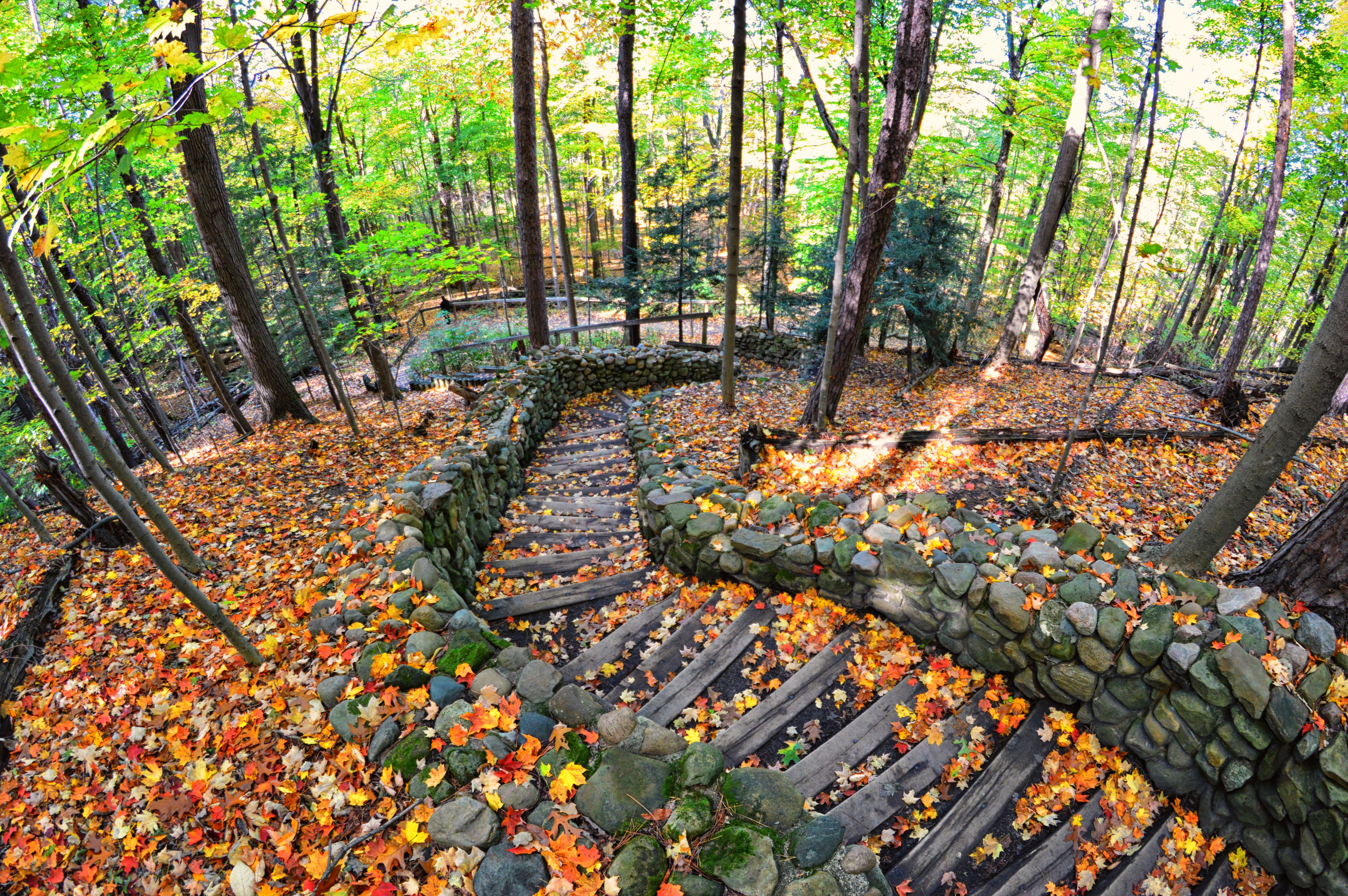 Rocky River reservation best fall hikes near cleveland