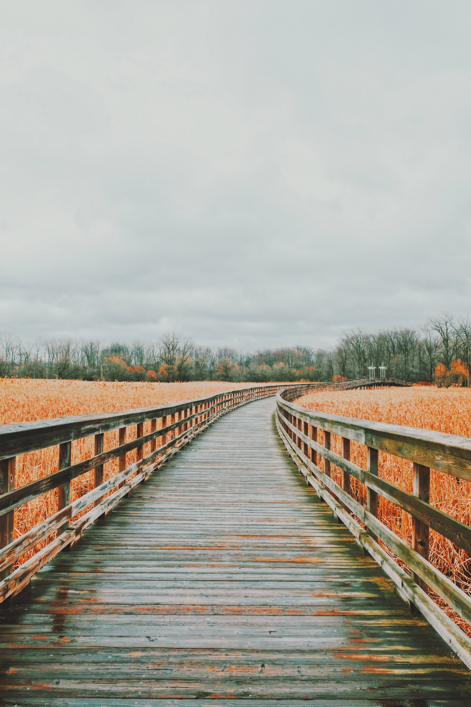 Processed with VSCO with c7 preset Processed with VSCO with l10 preset