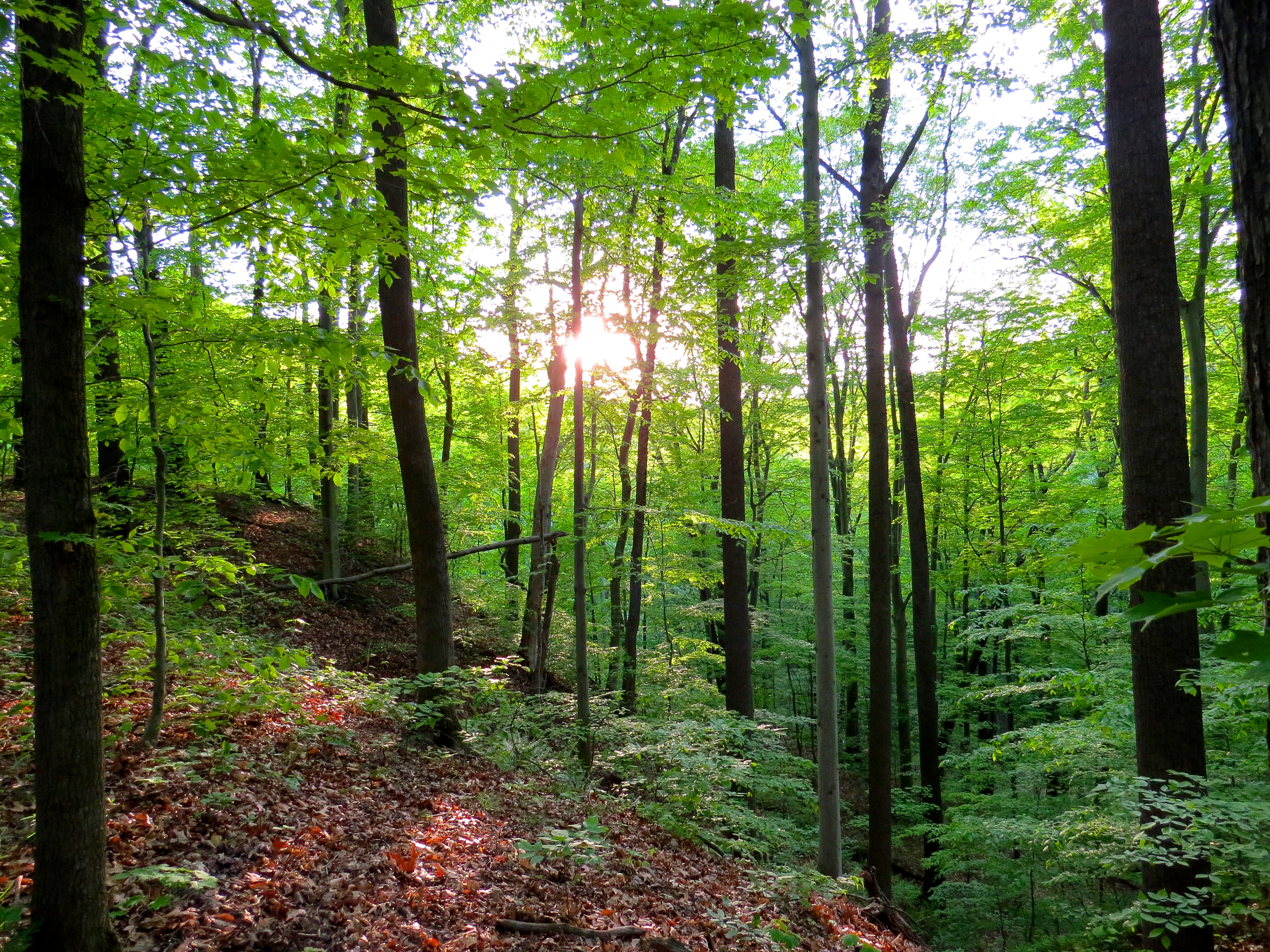 brecksville reservation best hiking cleveland metroparks