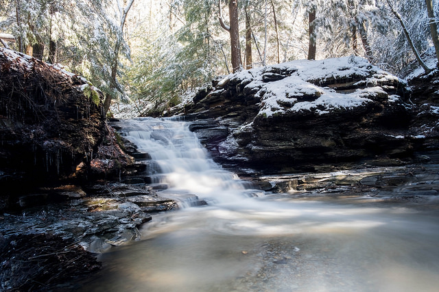Bedford Reservation