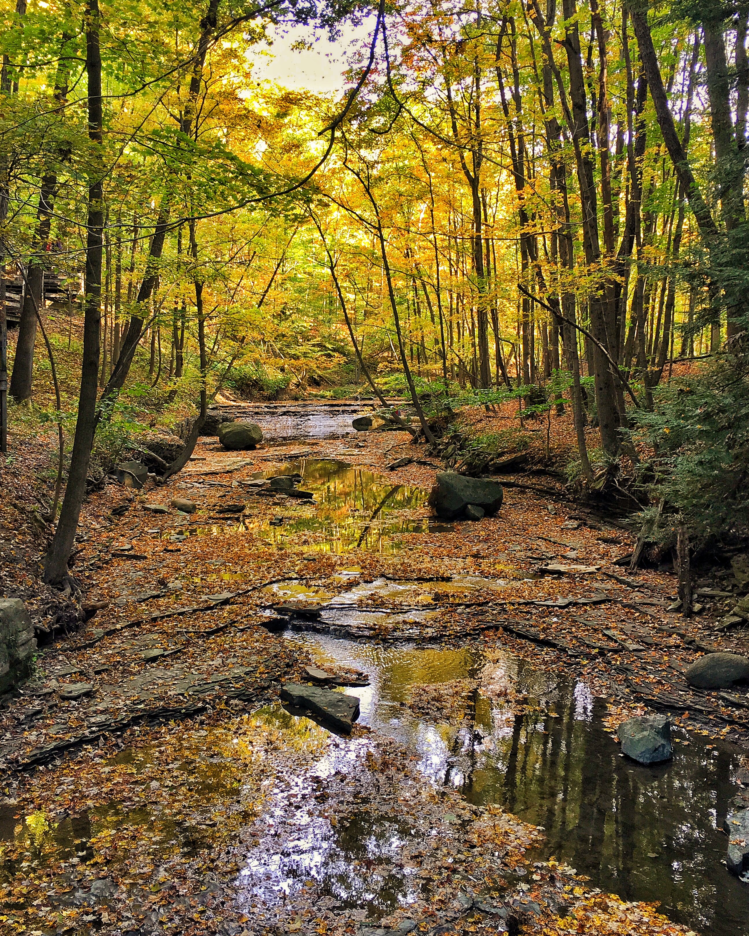 bedford reservation best hiking cleveland metroparks