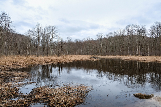 rocky river reservation