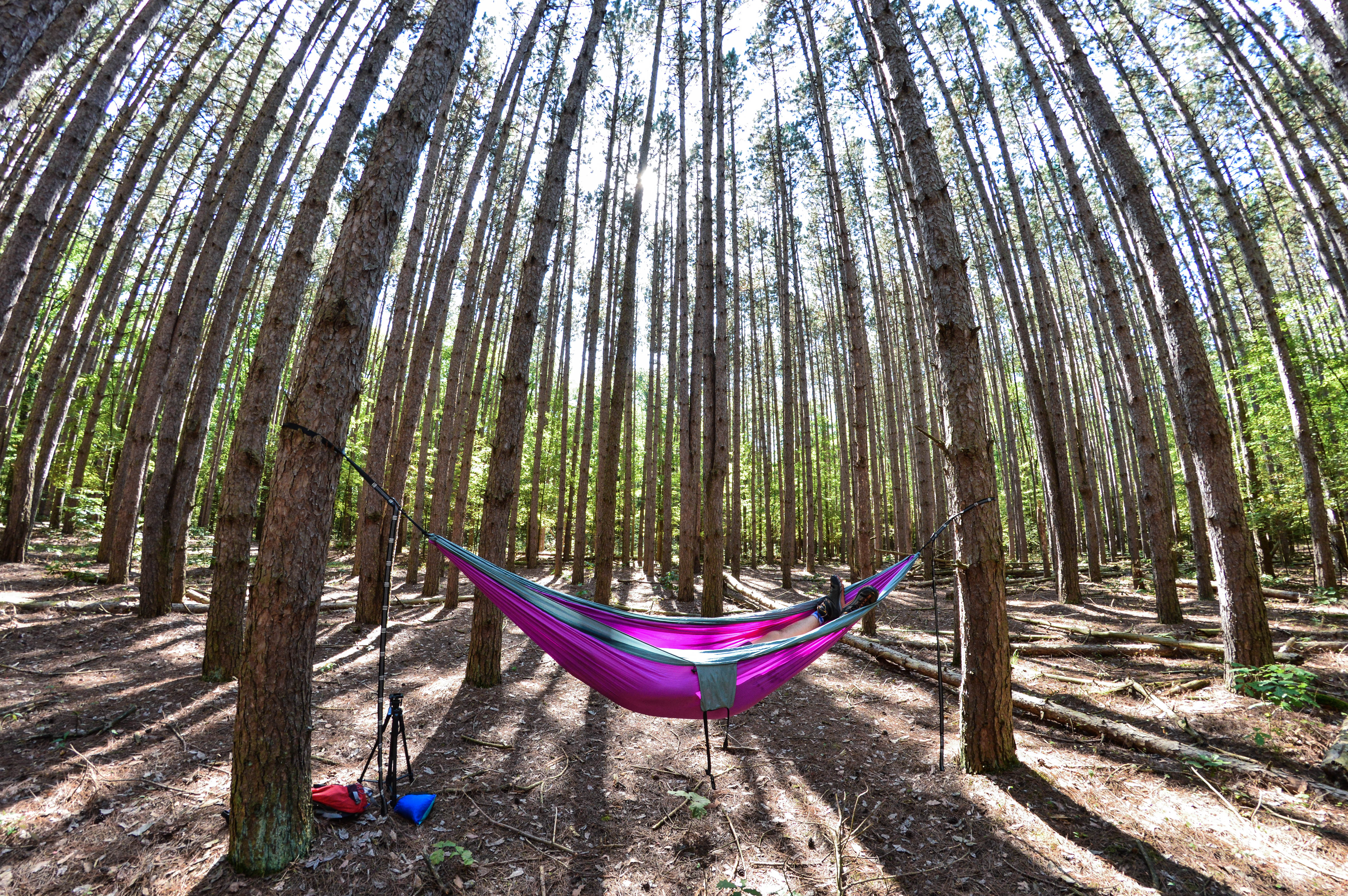 oak openings hiking 