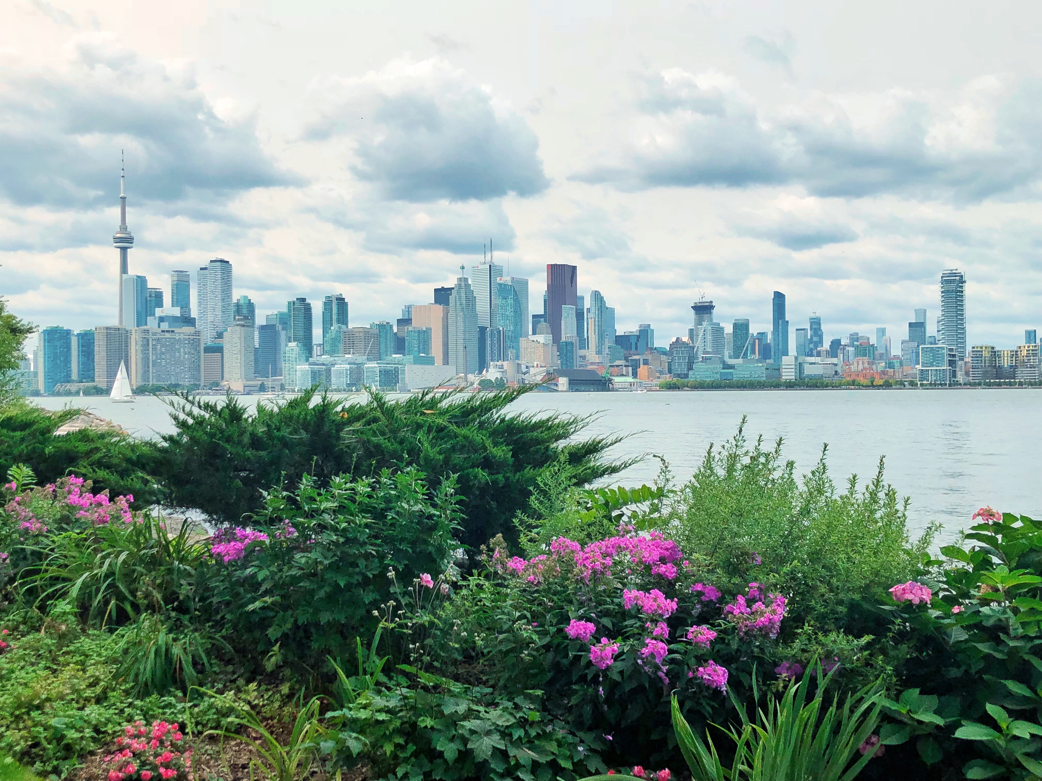 toronto skyline