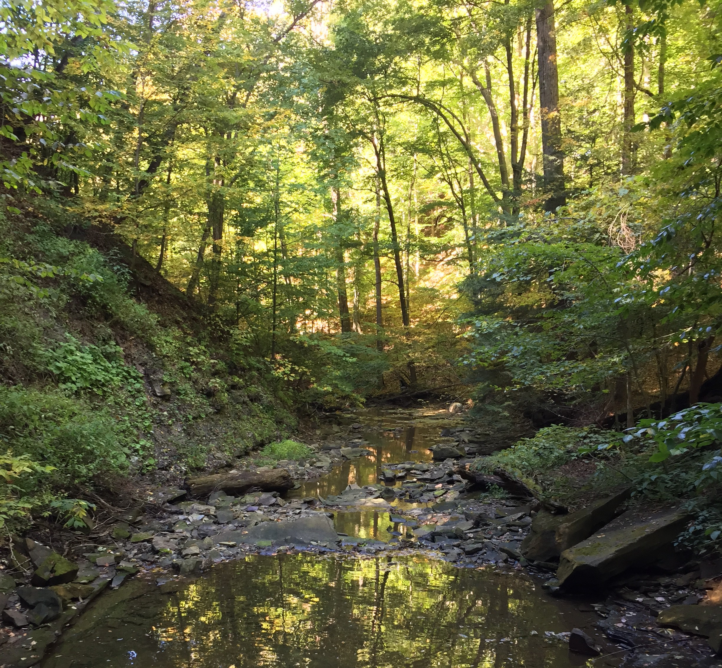 penitentiary glen reservation best hiking near cleveland 
