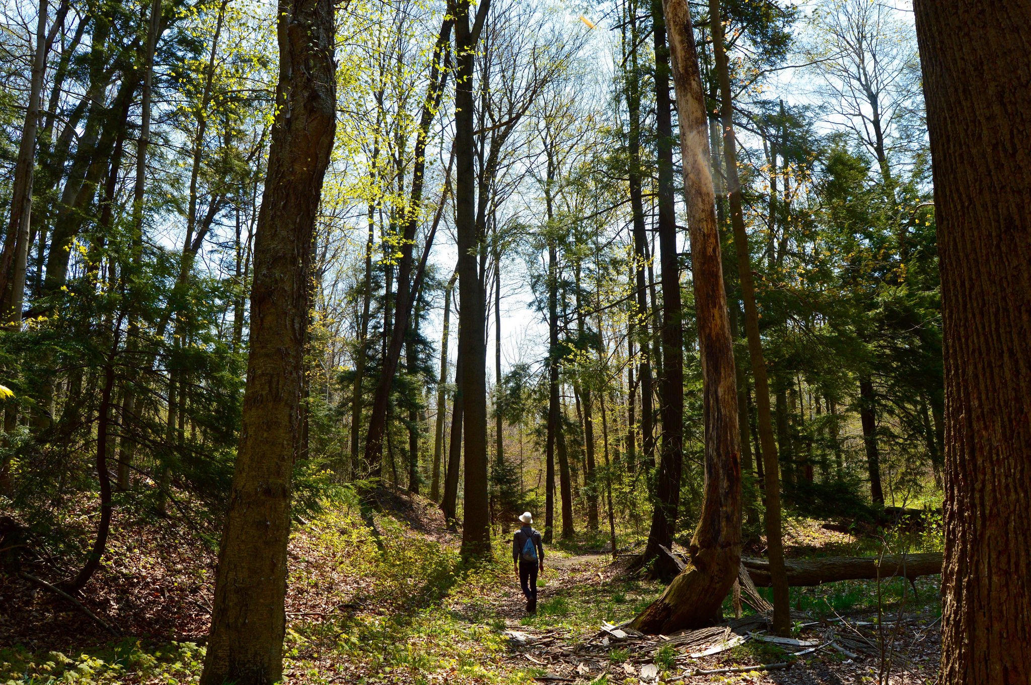 hell hollow wilderness area best hiking near cleveland 
