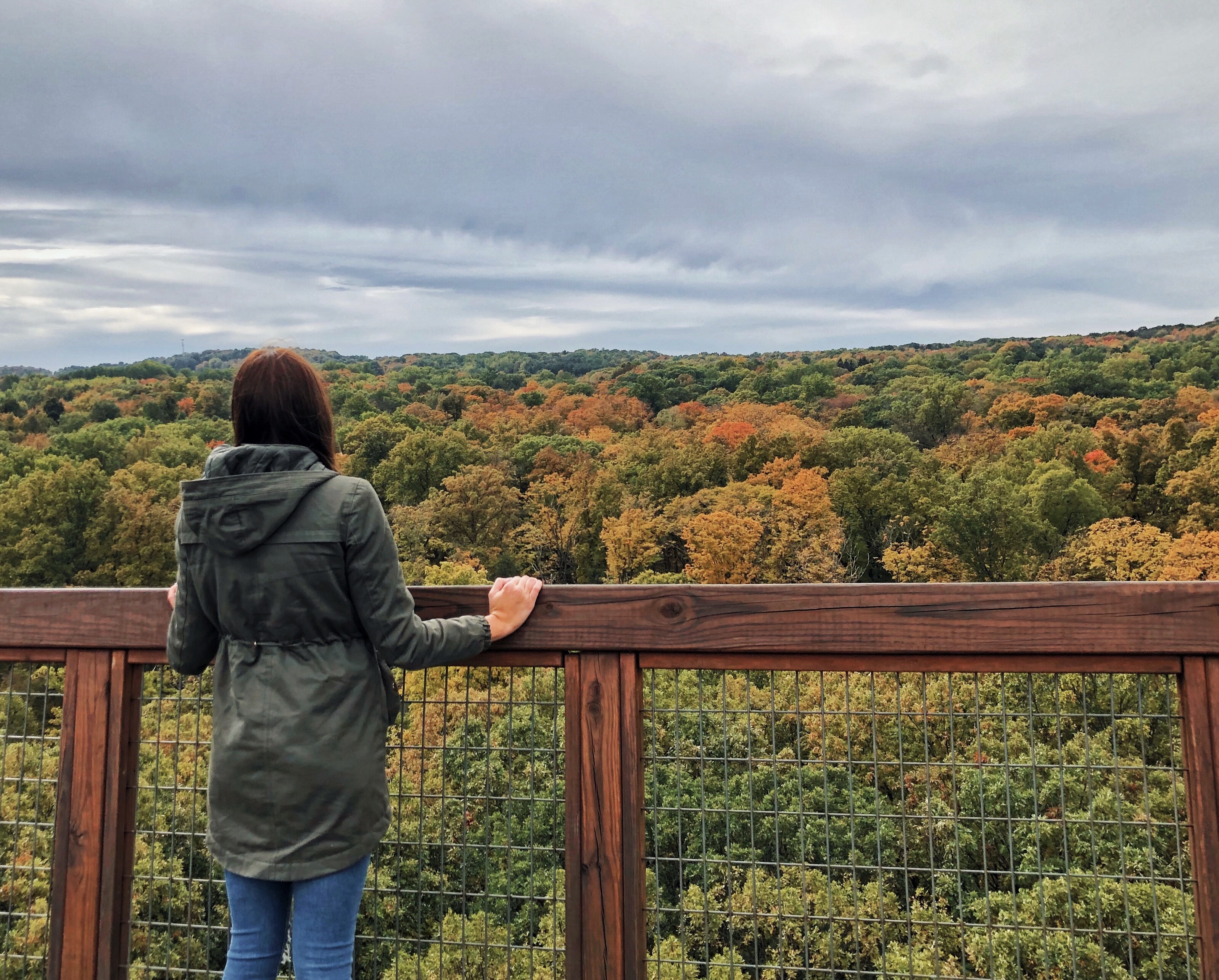 holden arboretum best fall hikes near cleveland