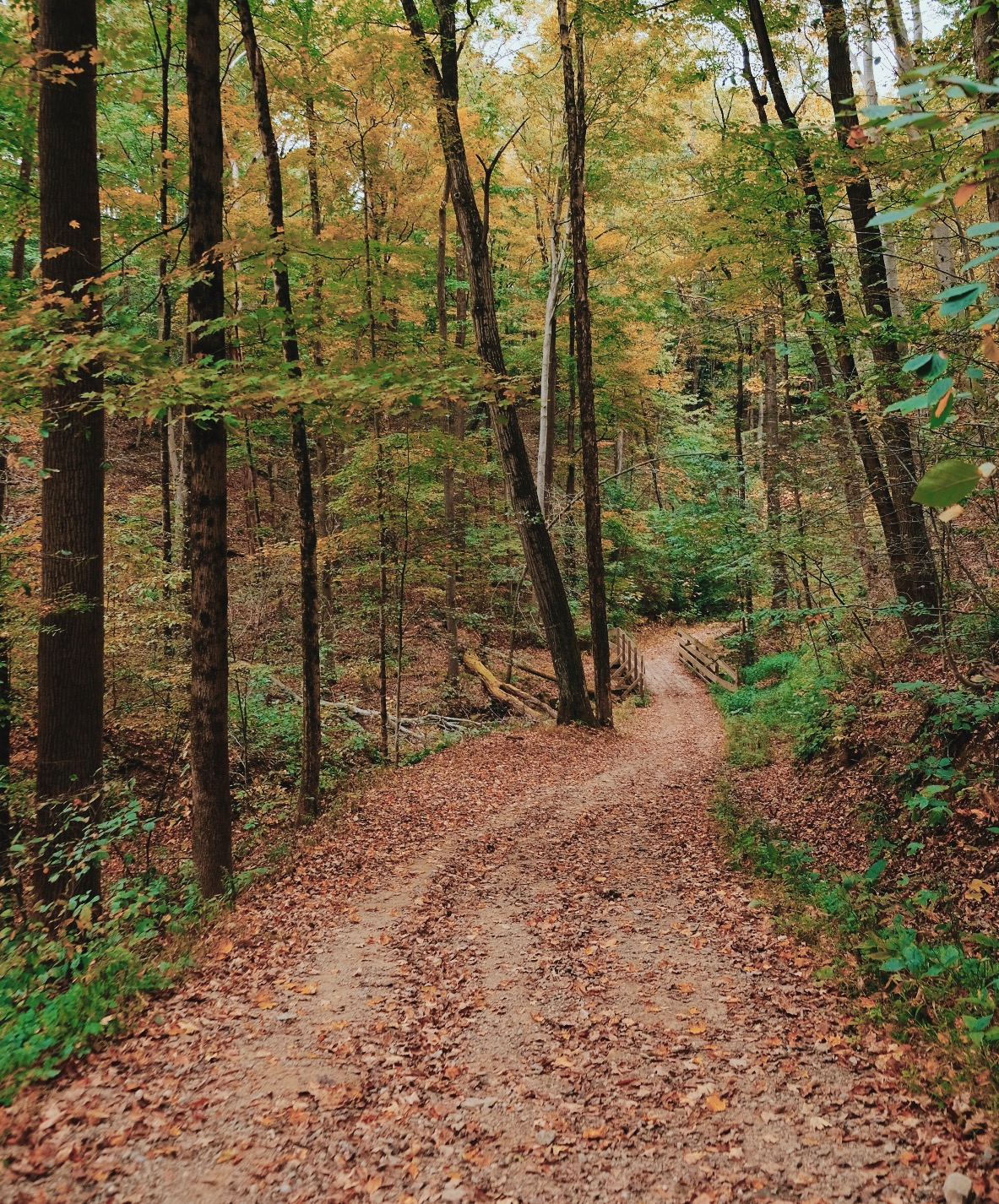 brecksville reservation best fall hikes near cleveland