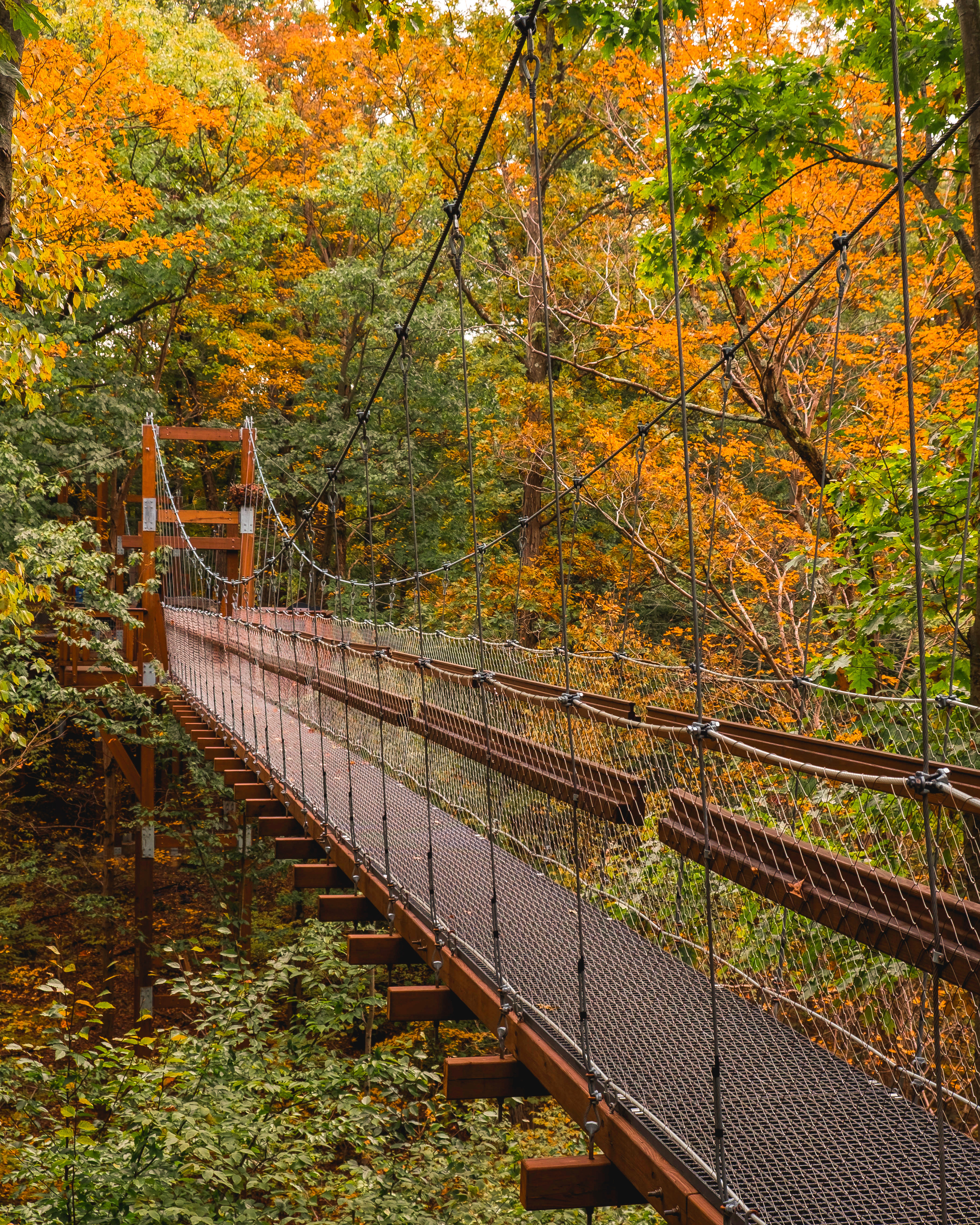 holden arboretum best fall hikes near cleveland