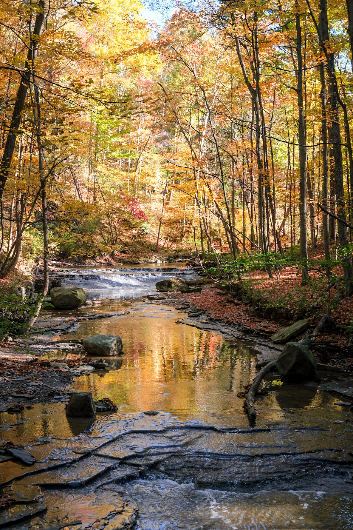 bedford reservation best fall hikes near cleveland
