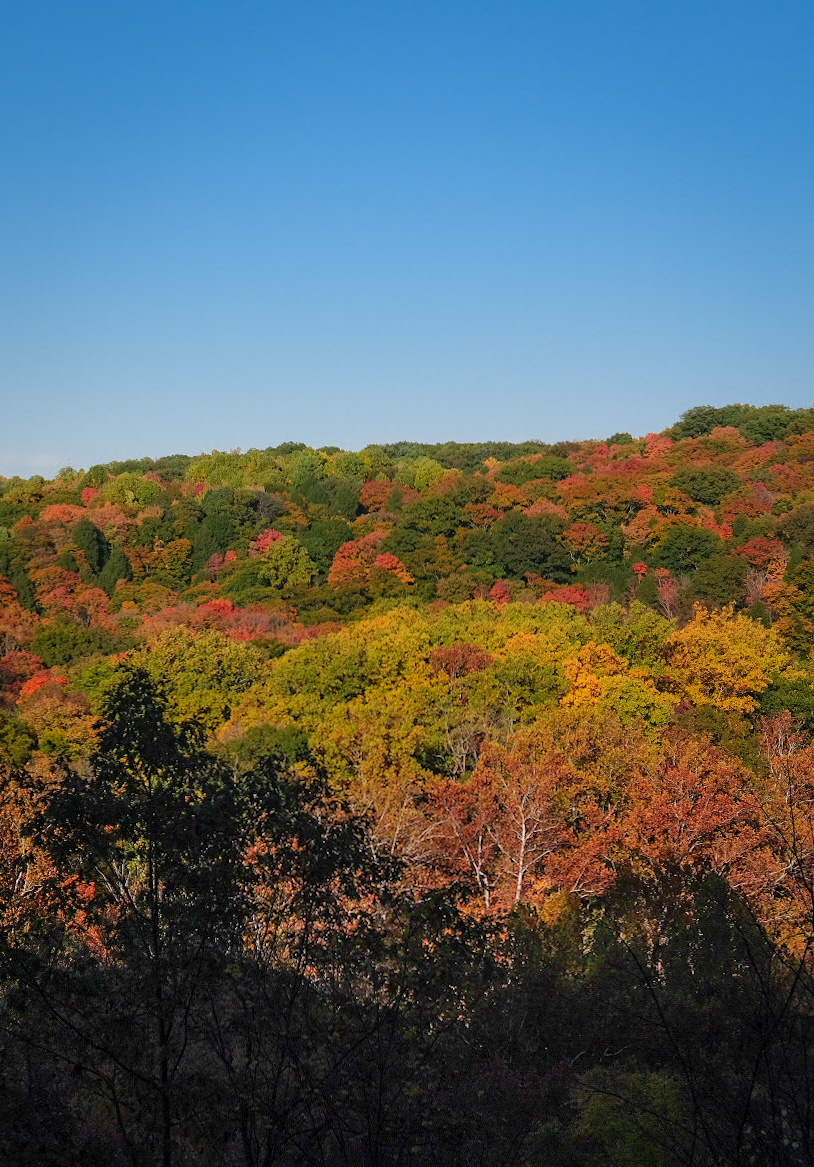 tinkers creek gorge overlook best fall hikes near cleveland
