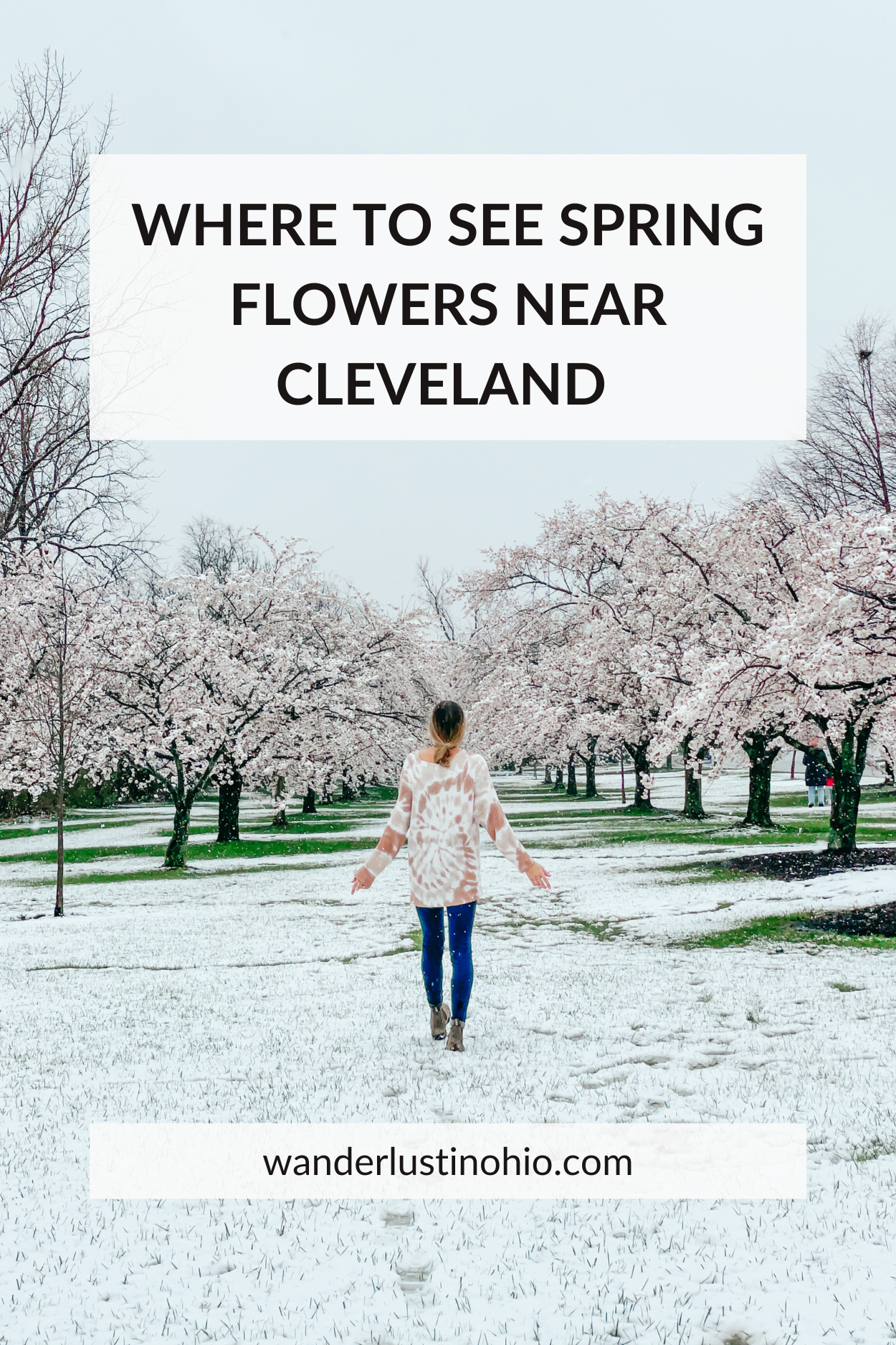 spring flowers near cleveland