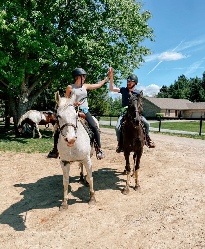 blue horseshoe farm springfield ohio