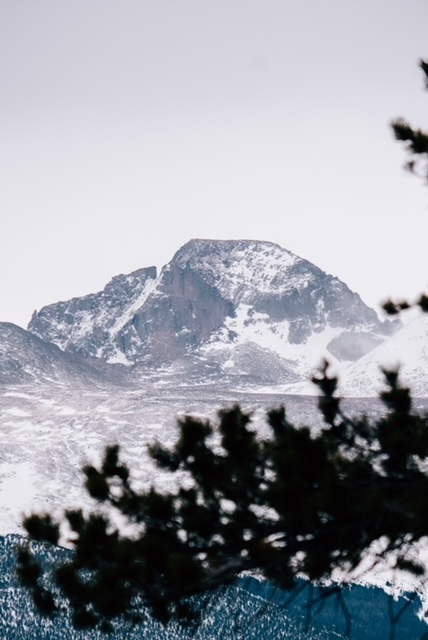 deer mountain trail rocky mountain national park 